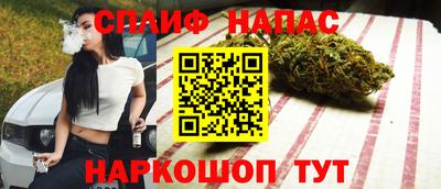СК Брянск