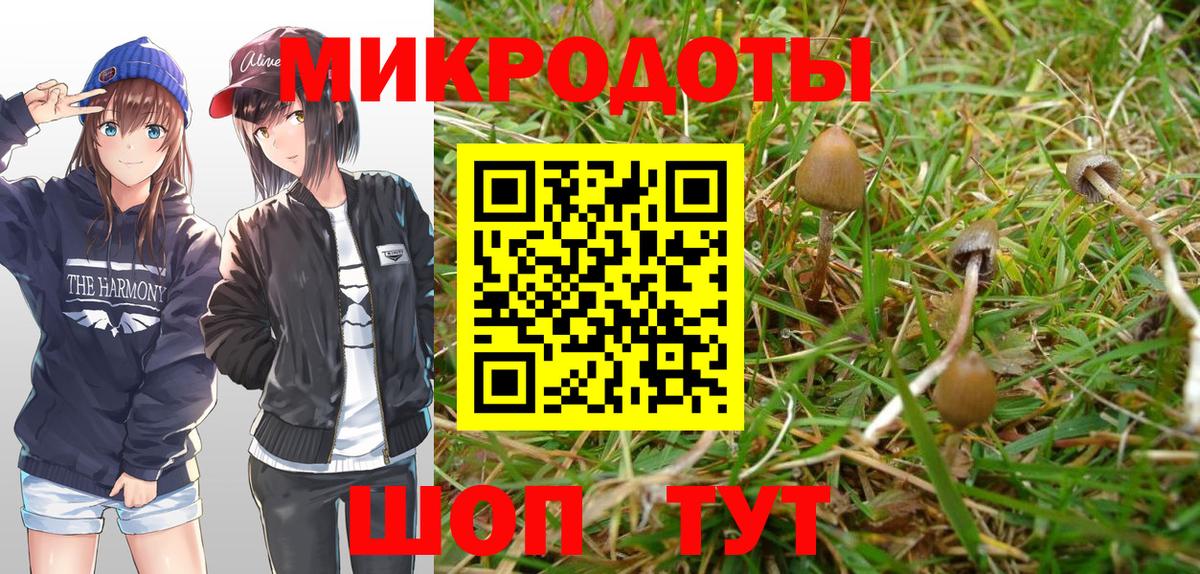 Псилоцибиновые грибы GOLDEN TEACHER  Вход с VPN  Борзя 
